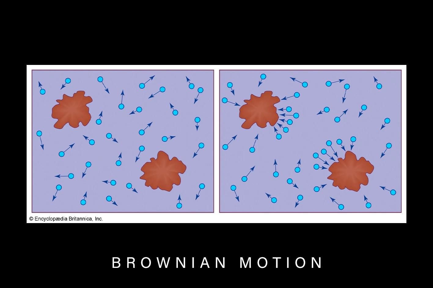 Brownian Motion